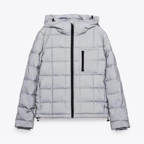 Zara Jackets & Blazers - Zara Luminescent Grey Jacket